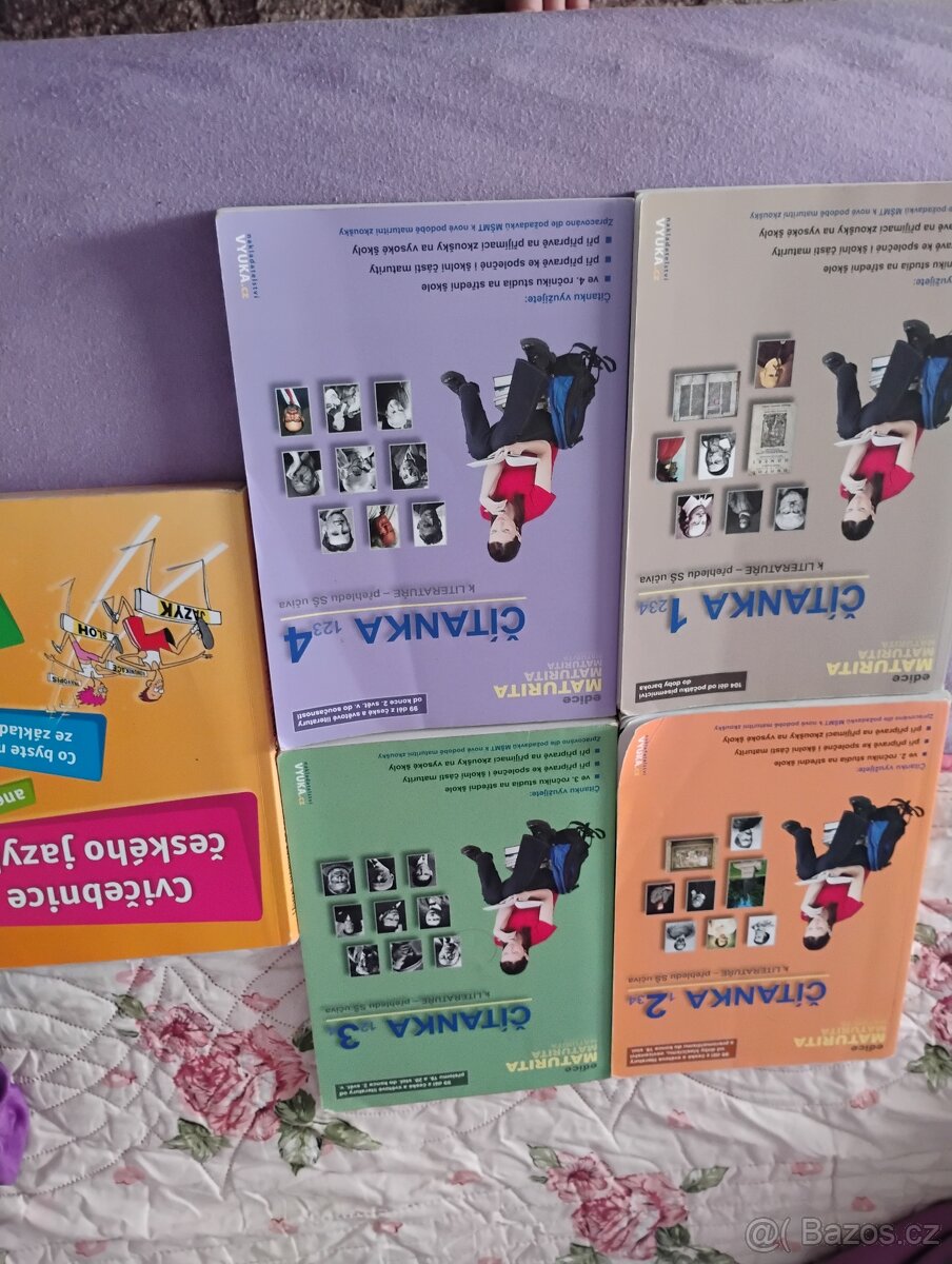 Literatura a český jazyk