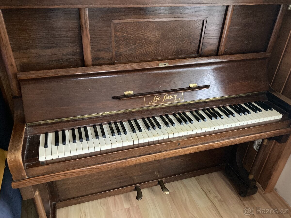 Piano Leo Fieber