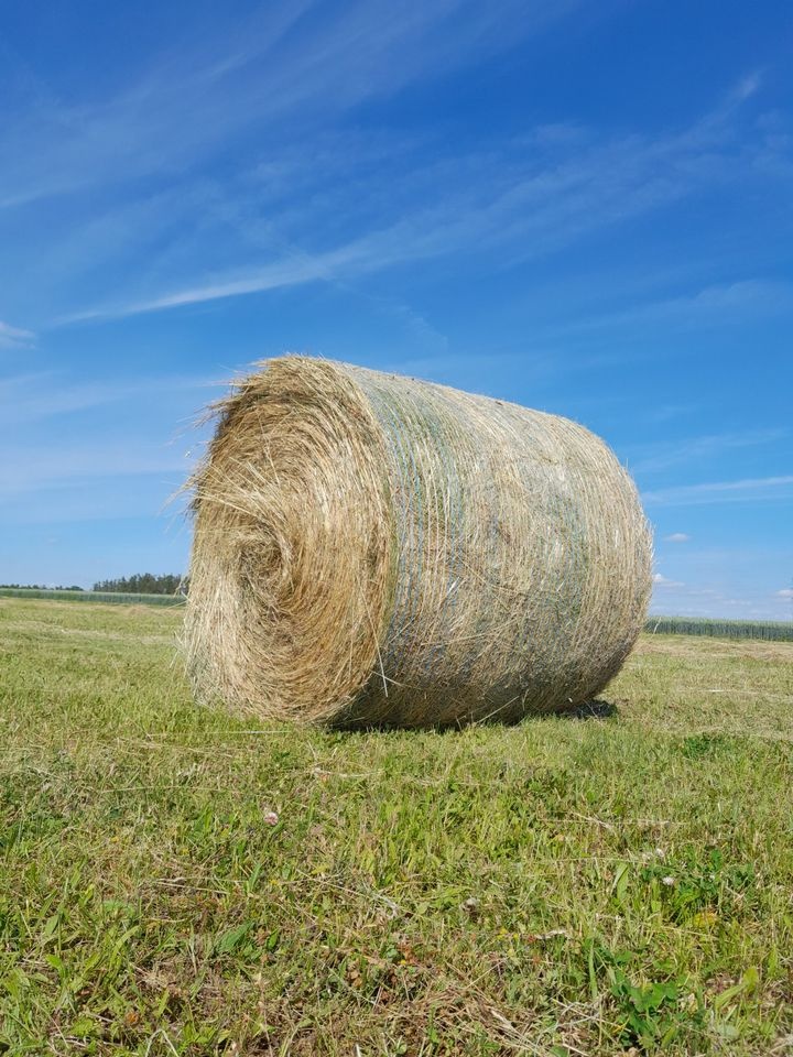 Seno - balíky 120 cm