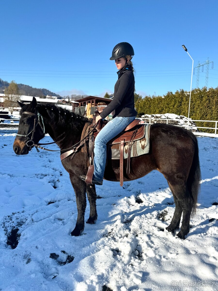 Kobyla 5 let na prodej