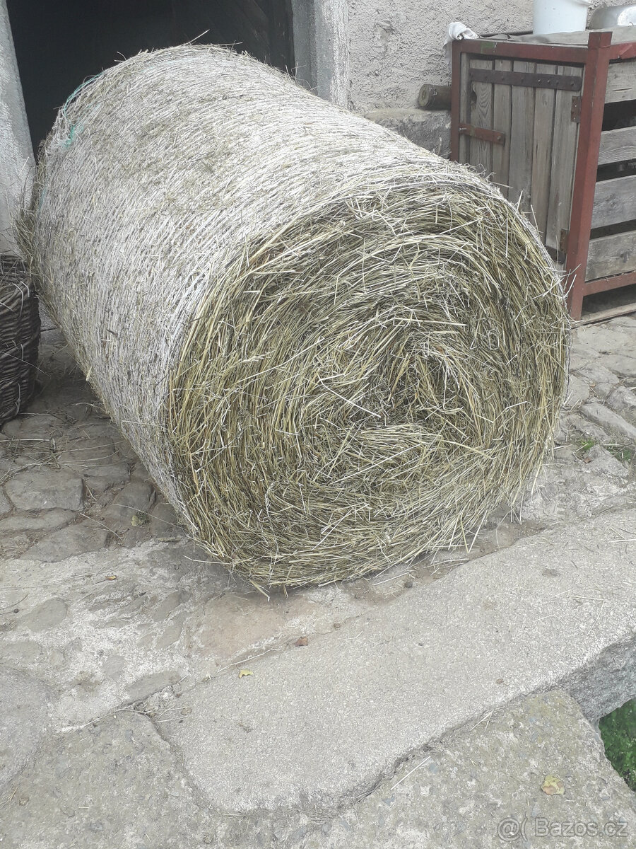Seno v menších kulatých balících