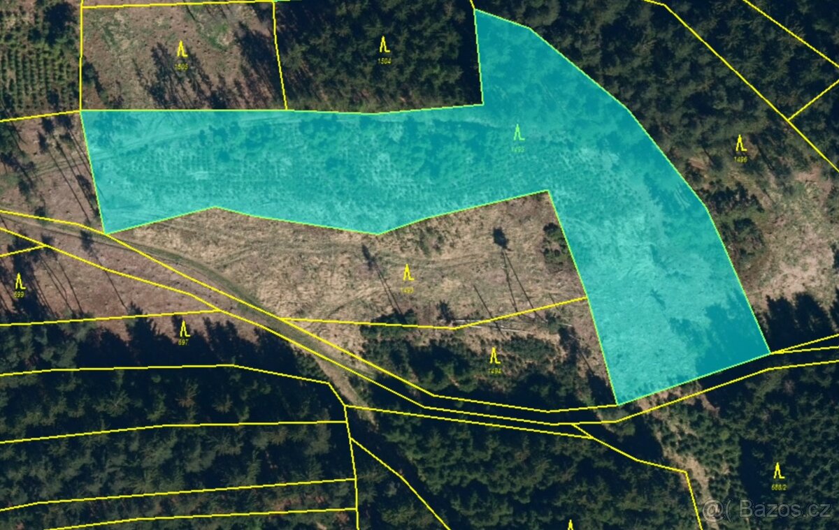 Lesní pozemek 5Kč/m2 k.ú. Velký Ježov 7.436m2