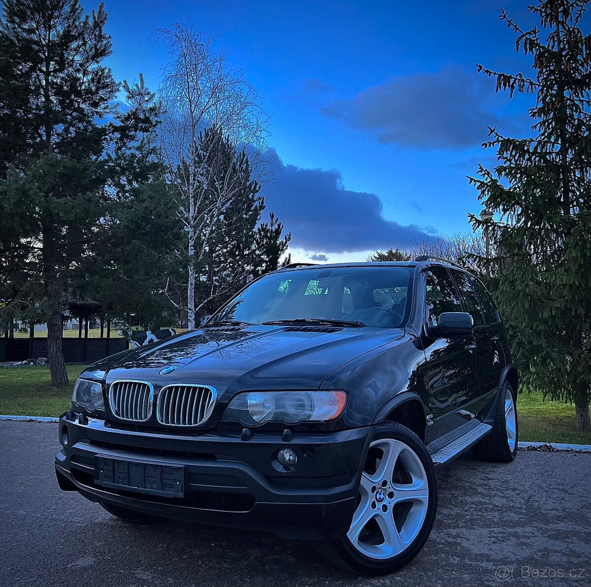 Bmw X5 4.6 iS Alpina V8 255kw 347ps • 91.000km • Cartier •