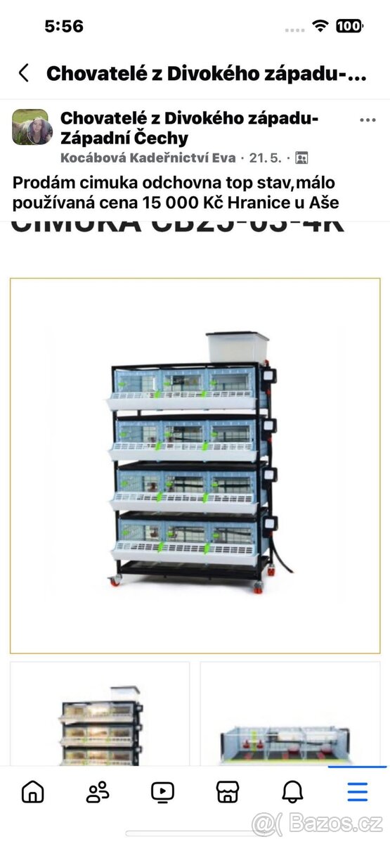 Cimuka odchovna