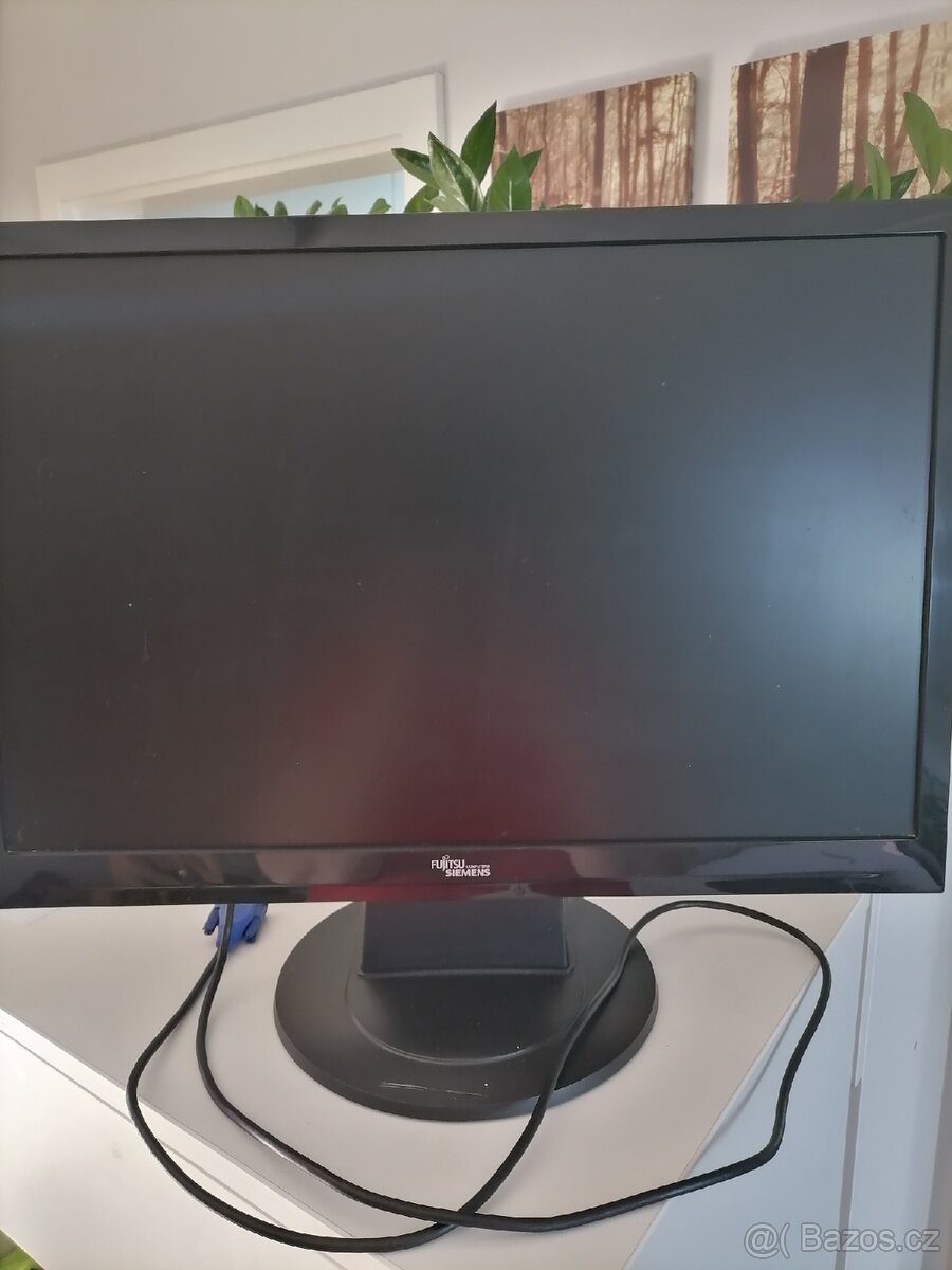 Monitor Fujitsu siemens