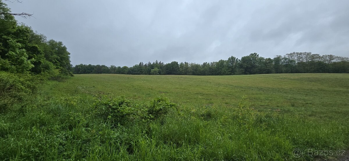 Prodej pole 19.020 m² Libošovice - Dobšice