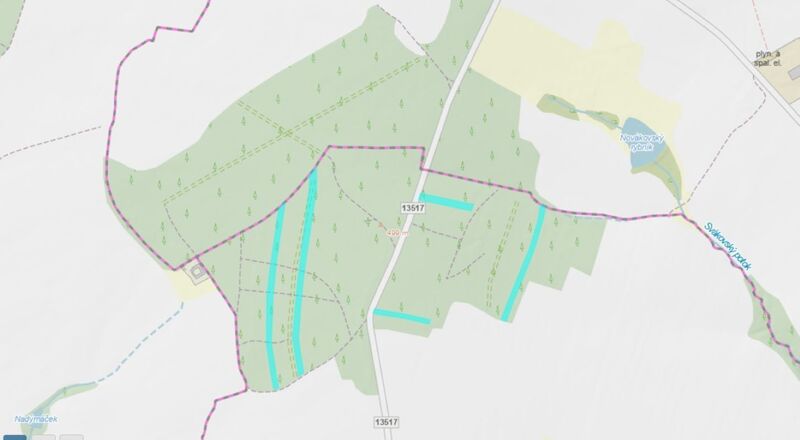 Lesní pozemky 24818 m², spoluvlastnický podíl 5/6, lokalita