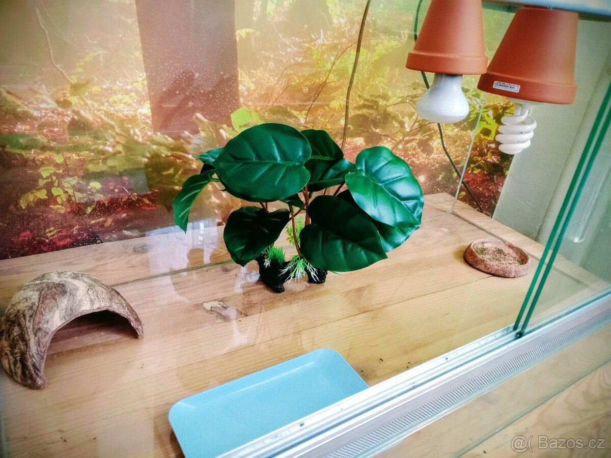 Terárium pro suchozemskou želvu