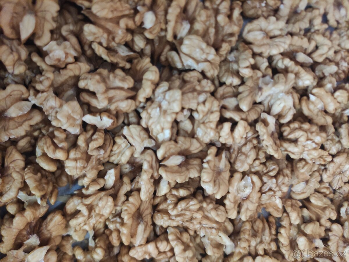 Vlašské ořechy loupané, neloupané.