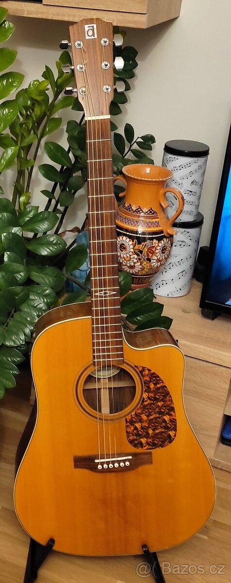 Australská kytara Ayers