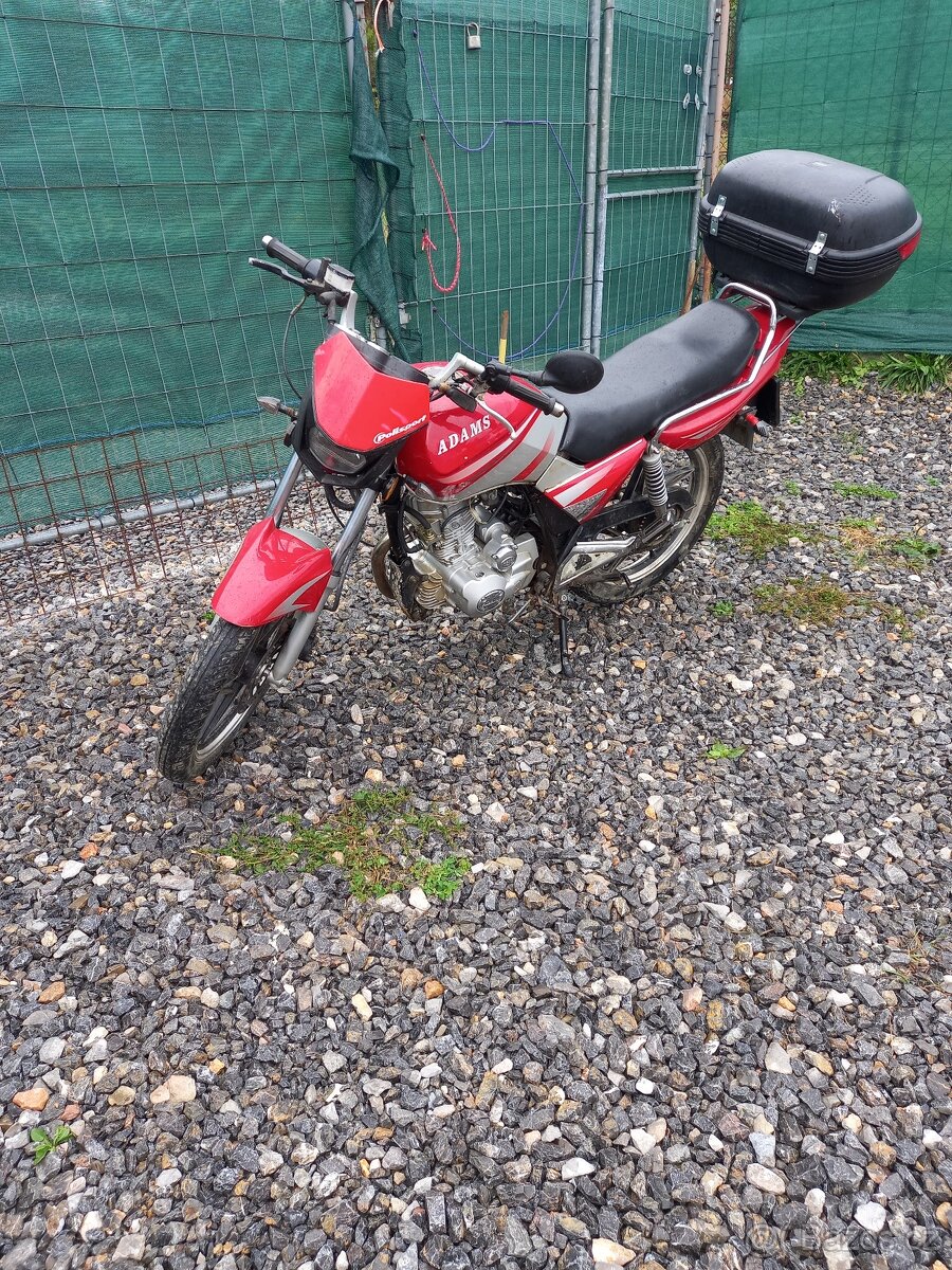 Adams 125