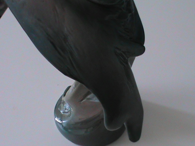 porcelanovej papousek