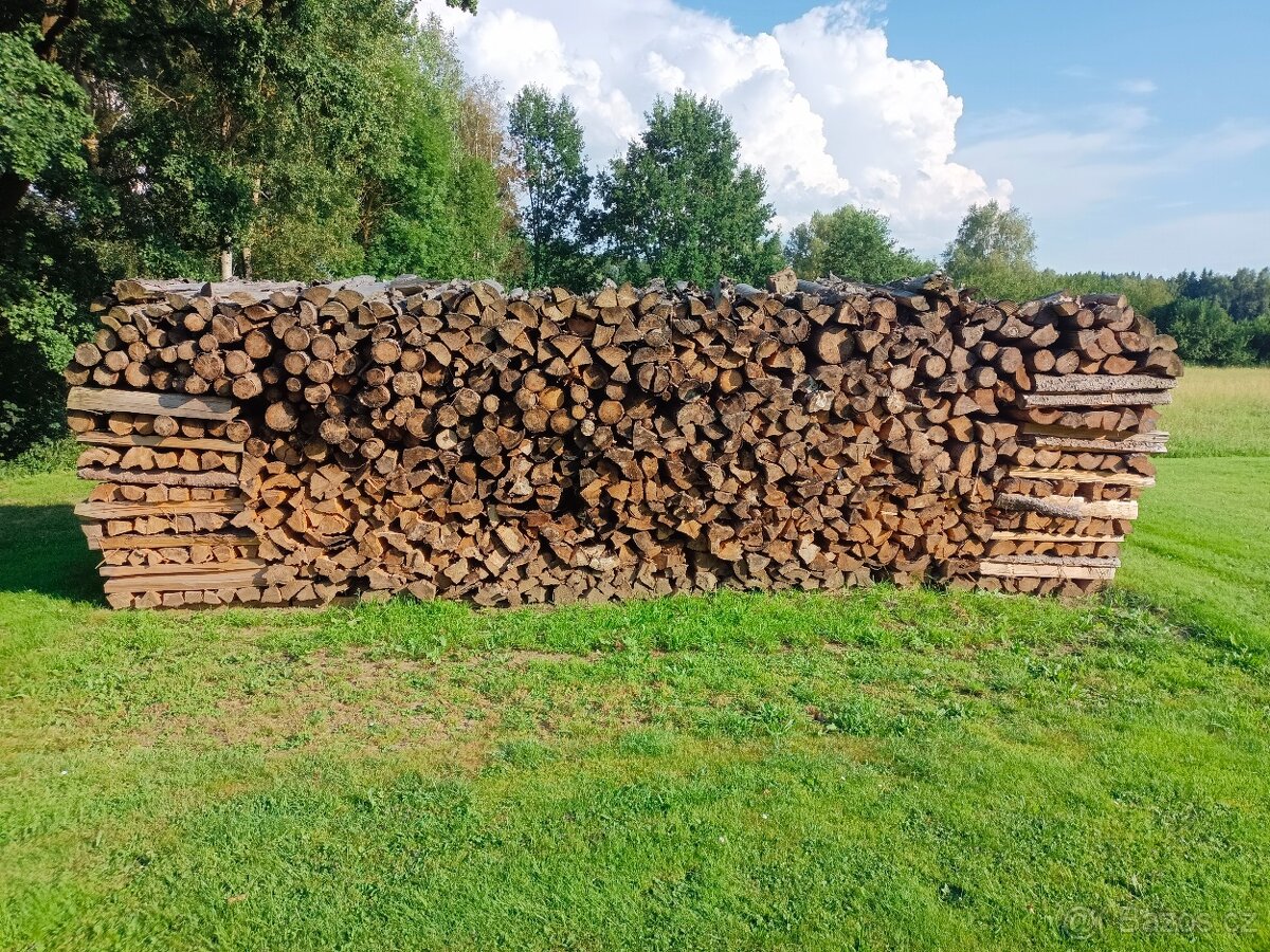 Dřevo na palivo