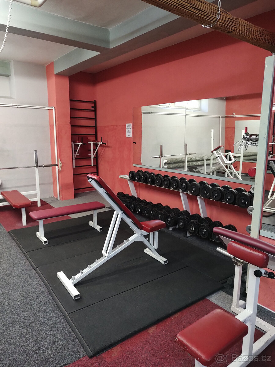 Fitness trenér-Praha 9