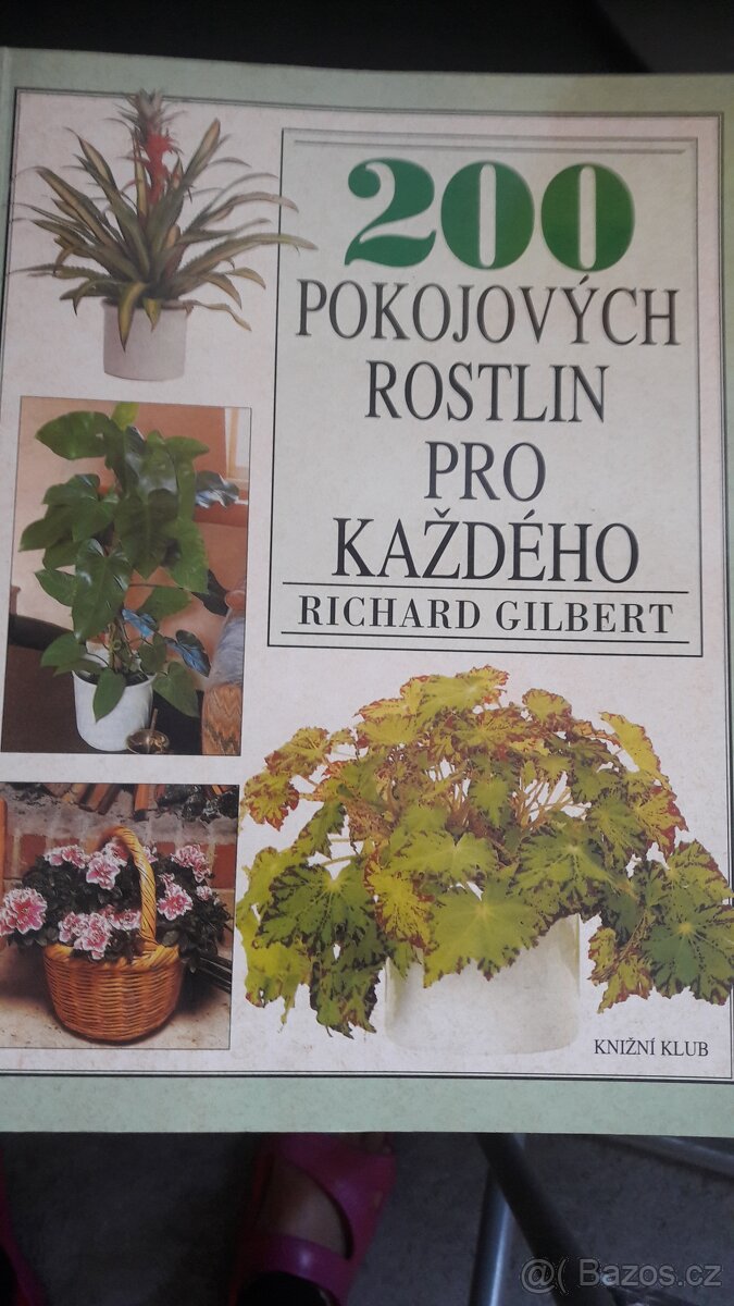 květiny