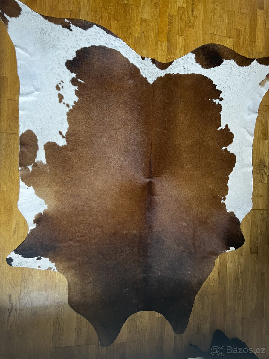 Pravá Hovězí kůže 205x205 cm / koberec