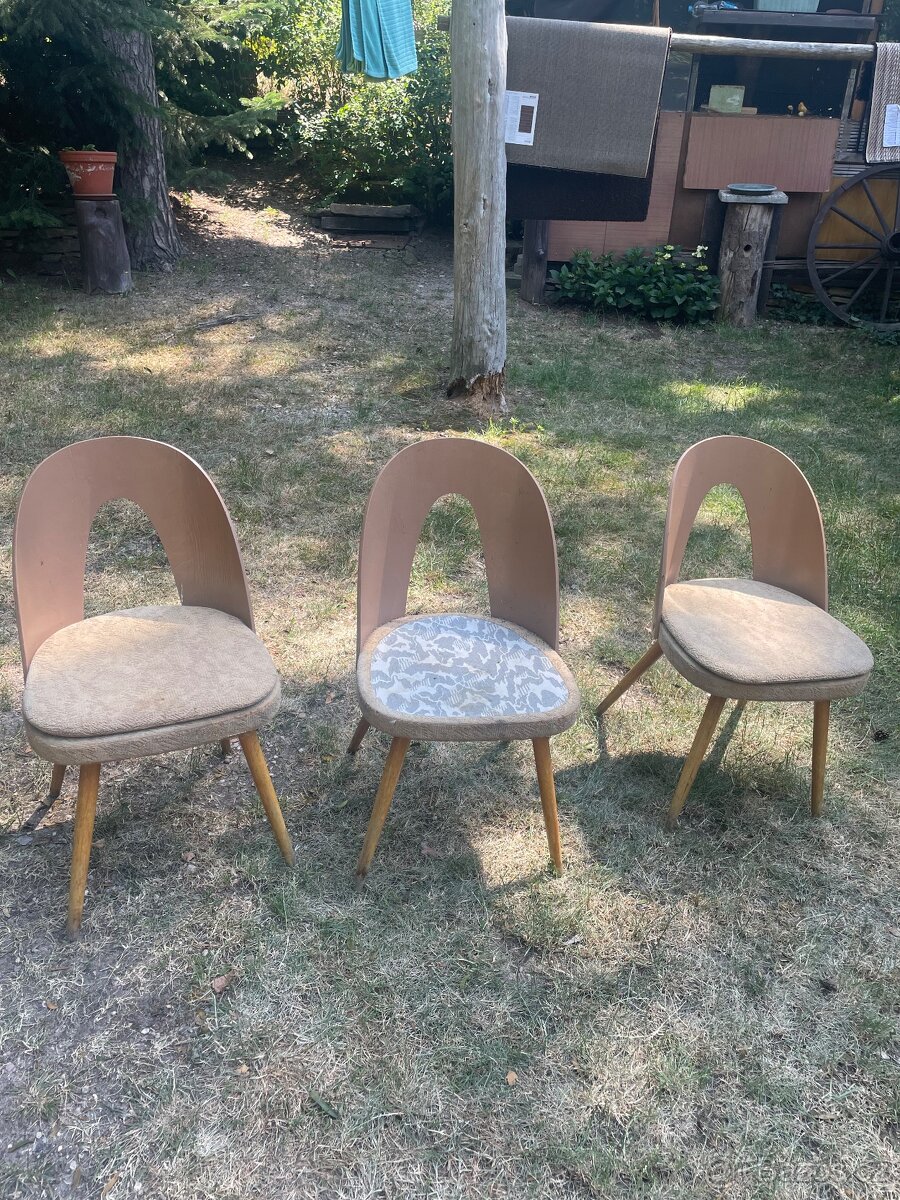 Židle Tatra Antonín Šuman