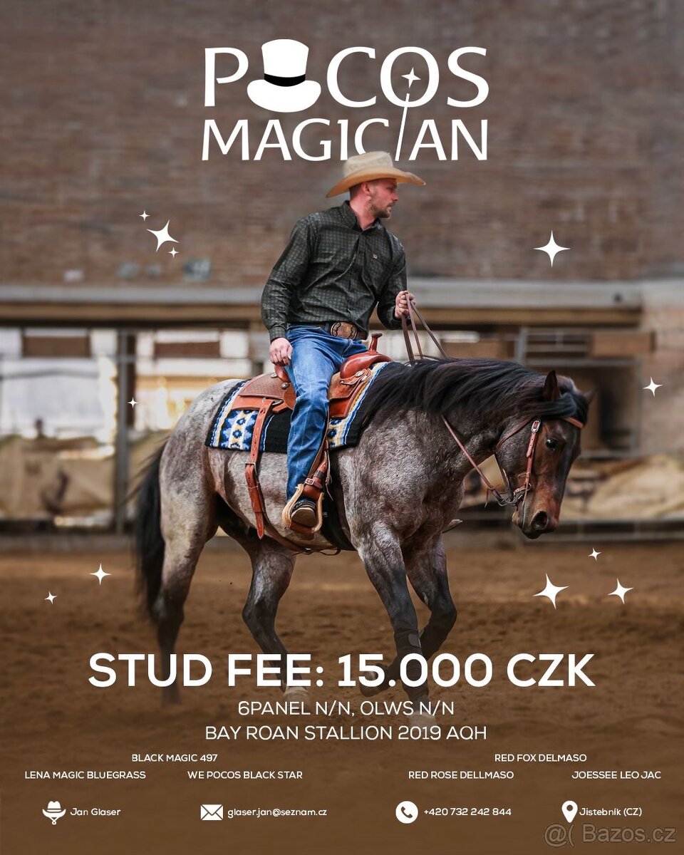 Připouštění charakterním Quarter horse
