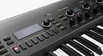 KORG KINGKORG black limited edotion