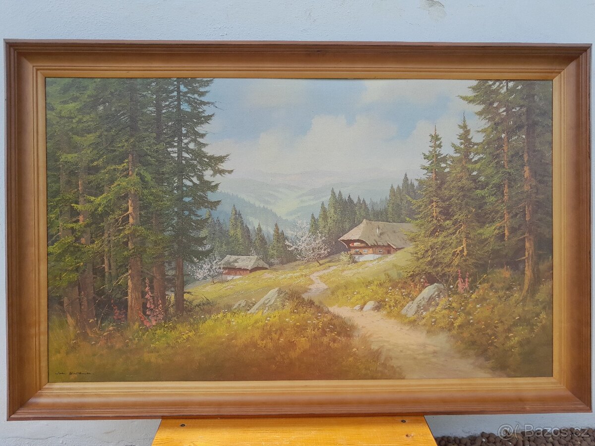 Obraz krajina