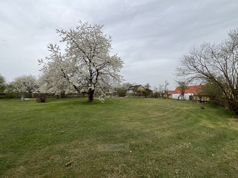 Prodej stavebního pozemku (650 m²), Újezd, Albrechtice nad V