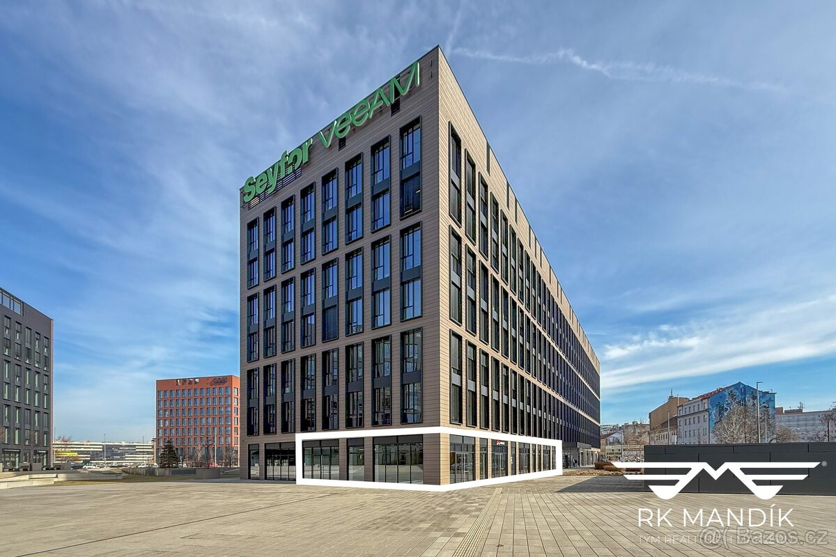 Pronájem obchodní prostory, 431 m2 - Praha - Karlín