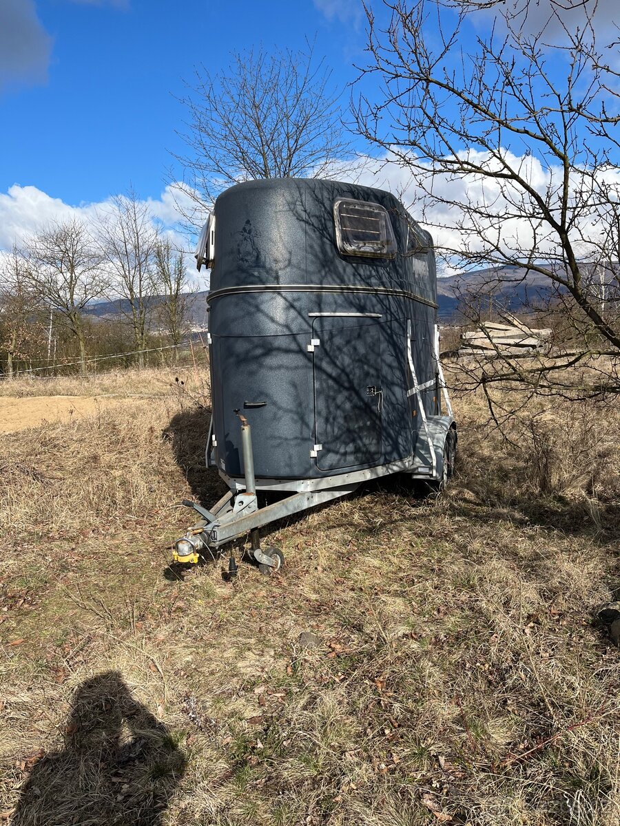 Pujcim prepravnik na 2 kone