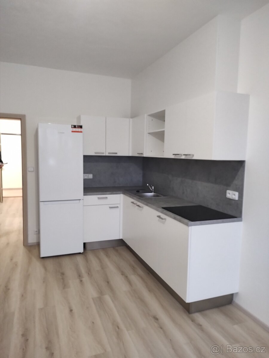 Dlouhodobý pronájem 1 kk Brno