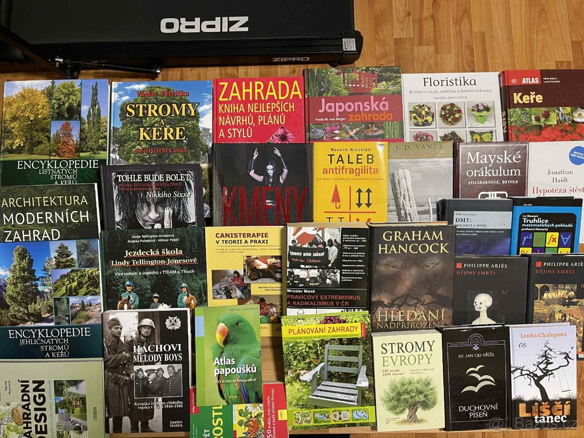 supervize,Morální dilema,listnaté stromy,Kmeny,Duchovní píse