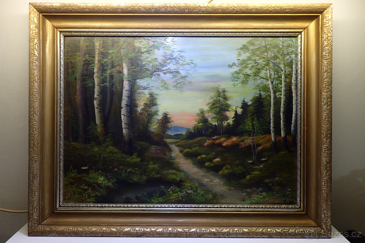 Carabík - Lesní cesta