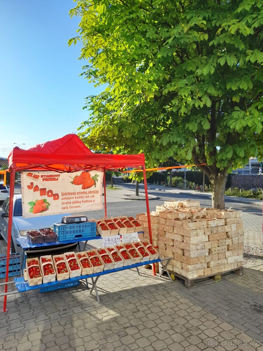 NABÍDKA BRIGÁDY - STÁNKOVÝ PRODEJ JAHOD