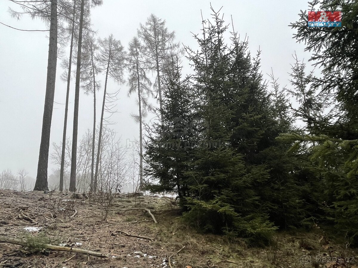 Prodej, les, 30934 m2, Vřesce