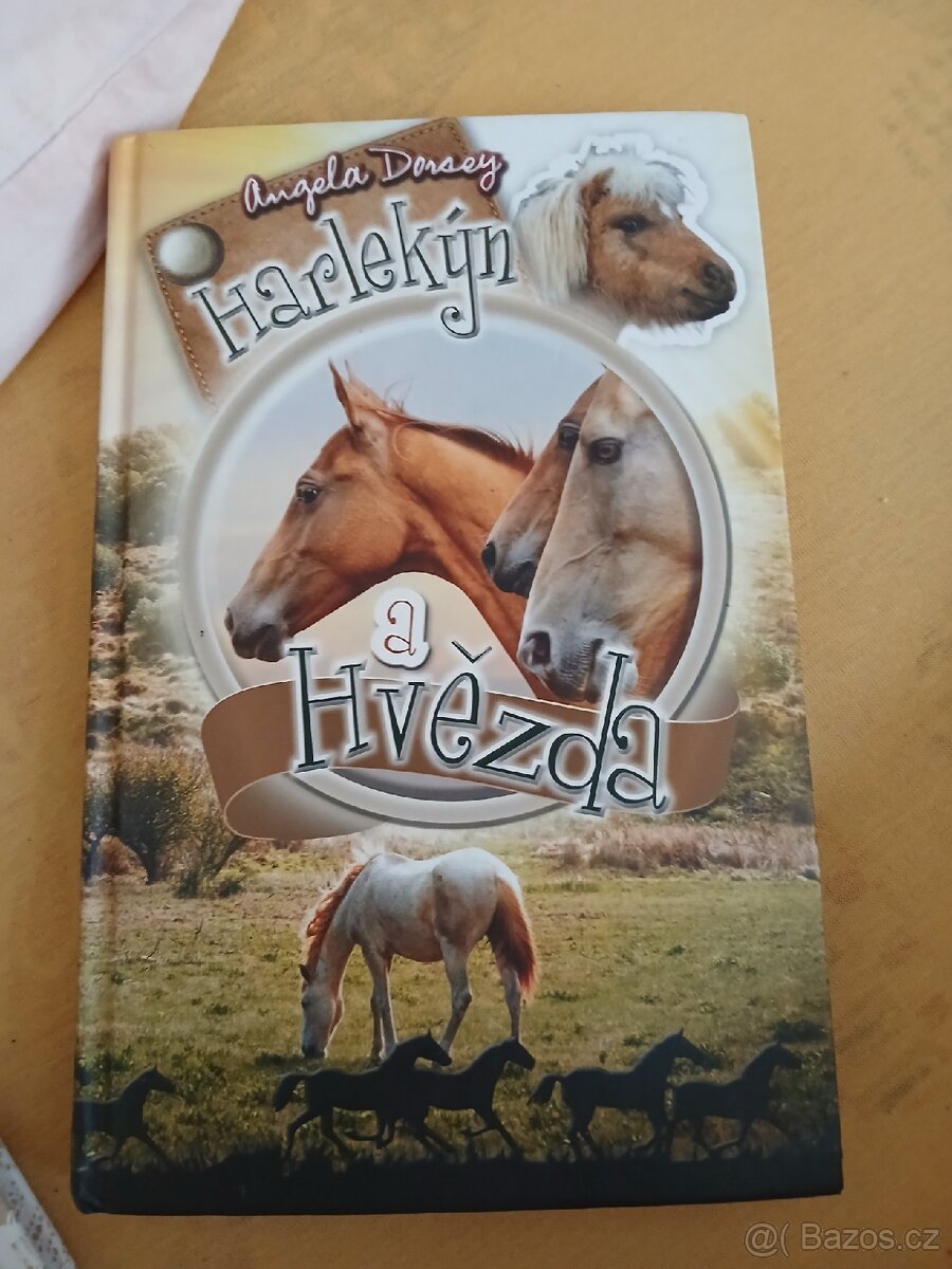 Harlekýn a hvězda