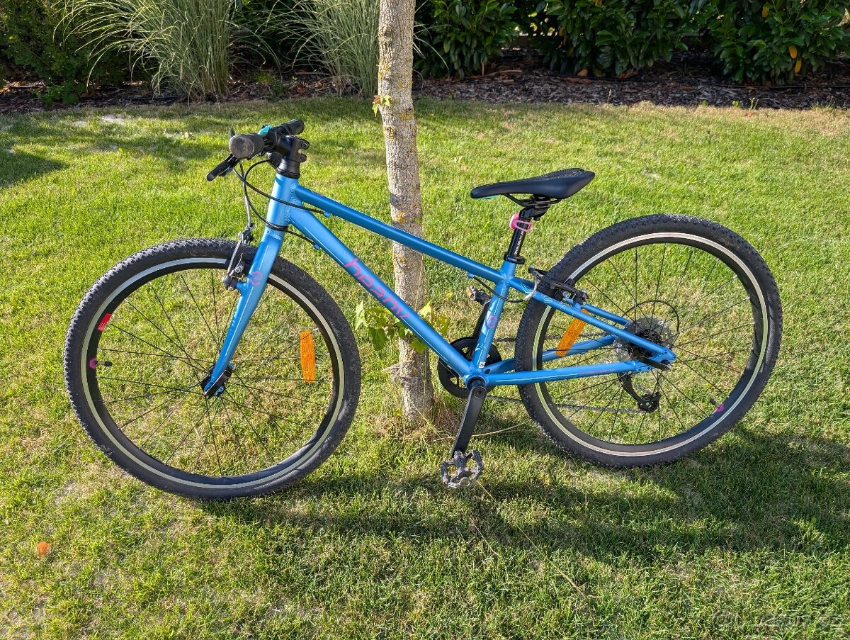 Ultralehké dětské kolo Beany 24"