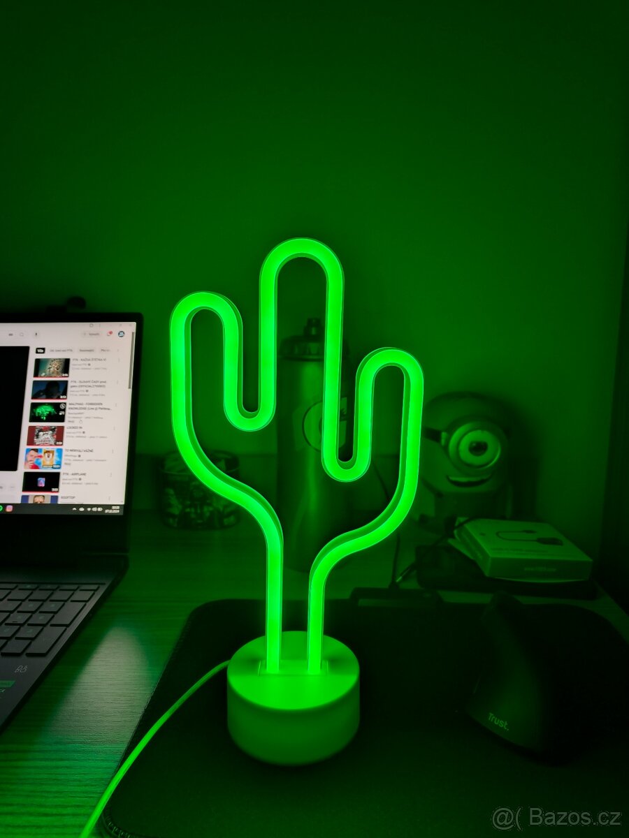 Kaktus jako lampička