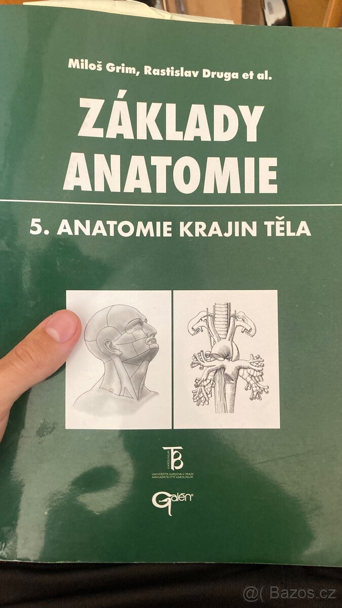 Základy anatomie