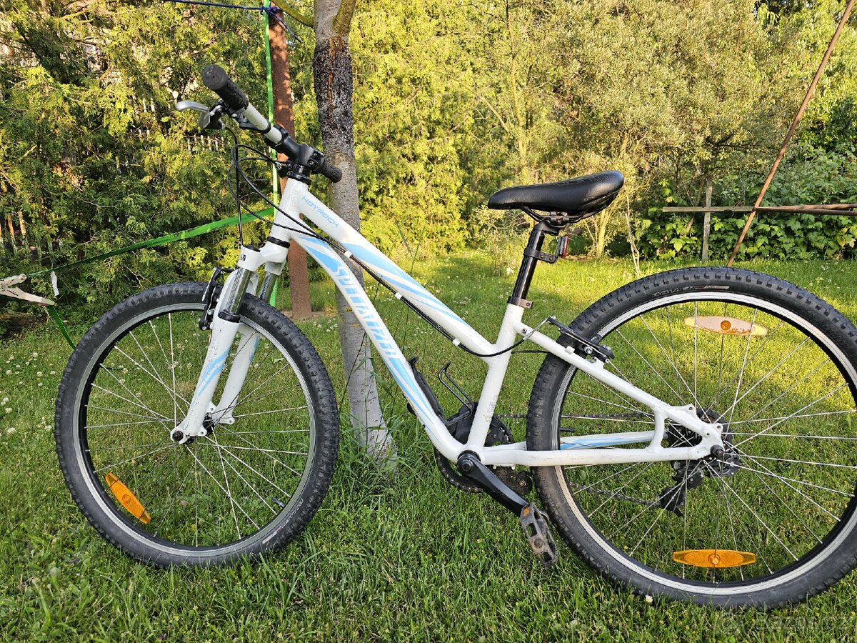 Specialized Hotrock