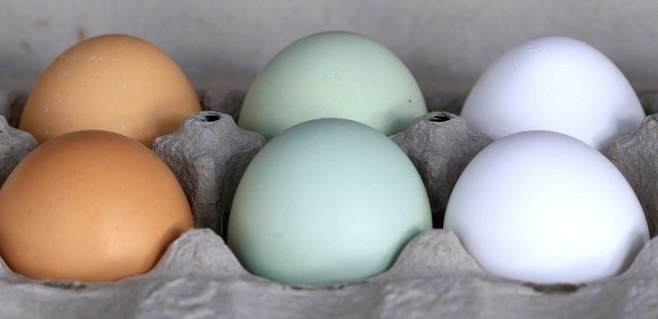 Aktuálně nedostupné: Domácí slepičí vejce