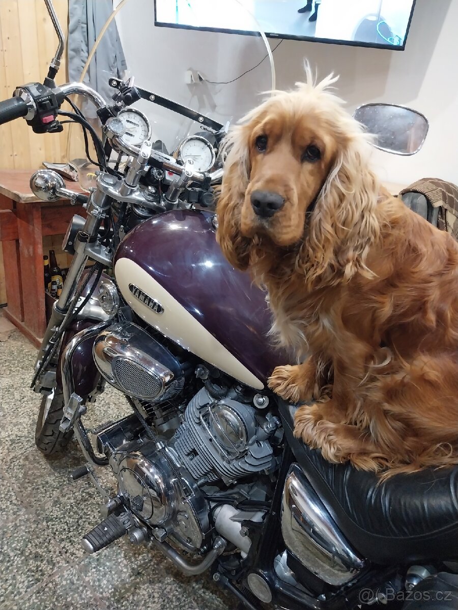 Yamaha wiraqo 750