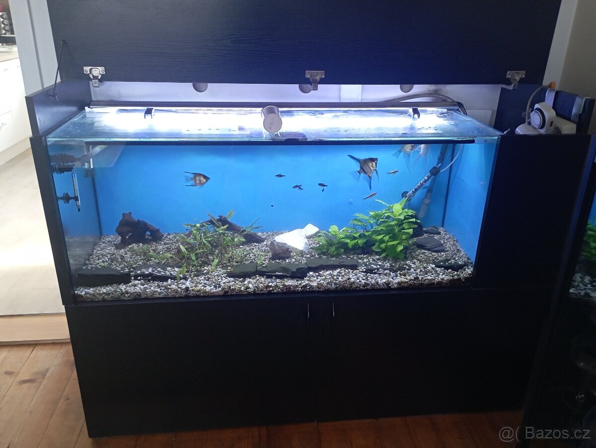 Akvárium + skříň + příslušenství