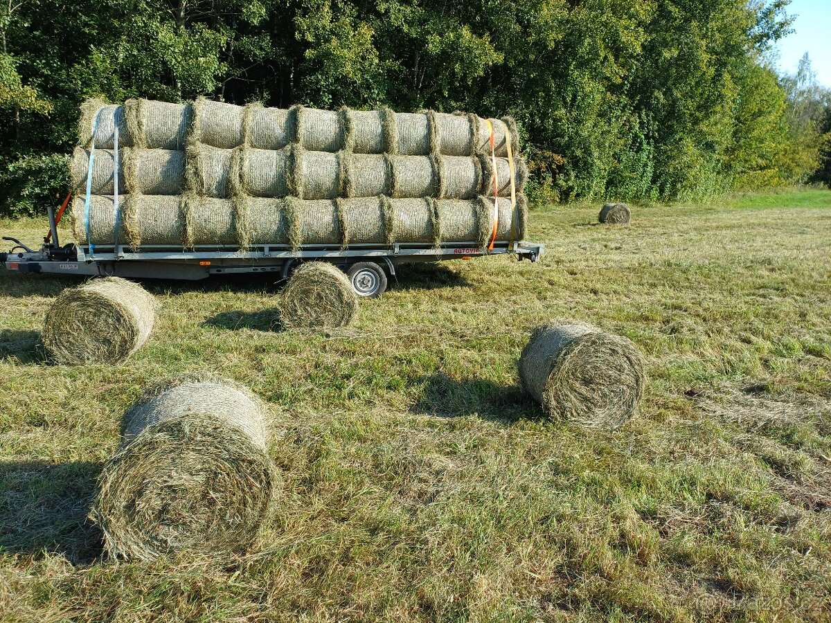 Seno, letošní, malé kulaté balíky, vázané v síti