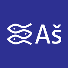 Byt 1+1 PRONÁJEM - AŠ - KOMPLETNĚ VYBAVENÝ