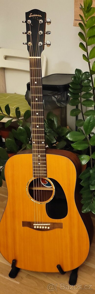 Německá kytara Eastman