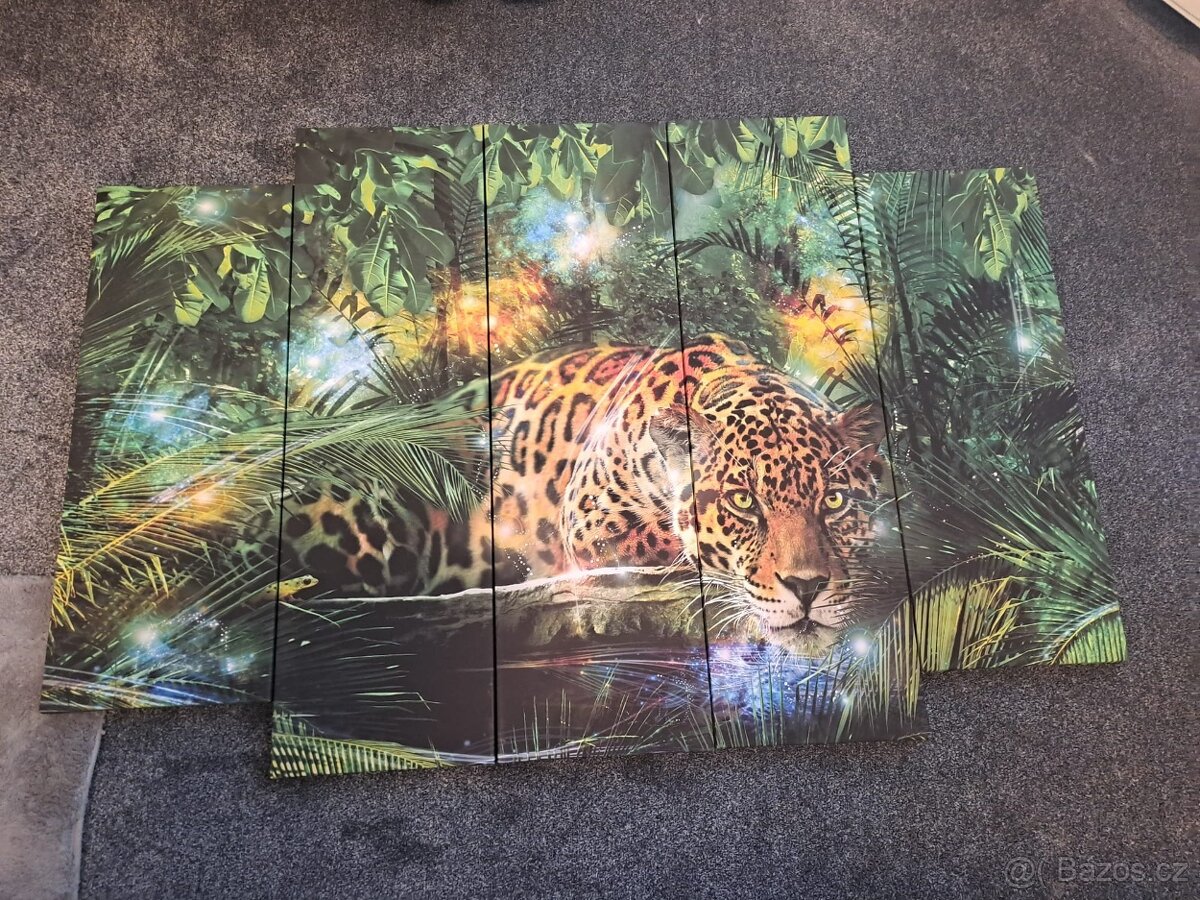 Obraz 5 dílná sada