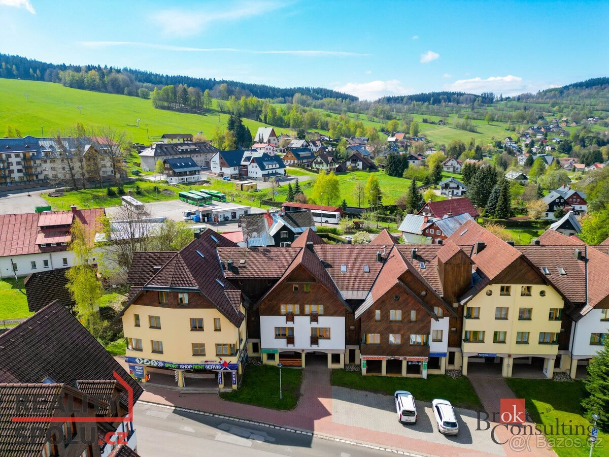 Prodej, byty/3+kk, 85 m2, Horní Rokytnice 656, 51245 Rokytni