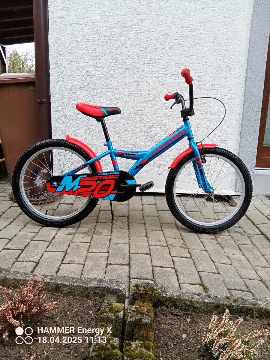 Dětské kolo 20