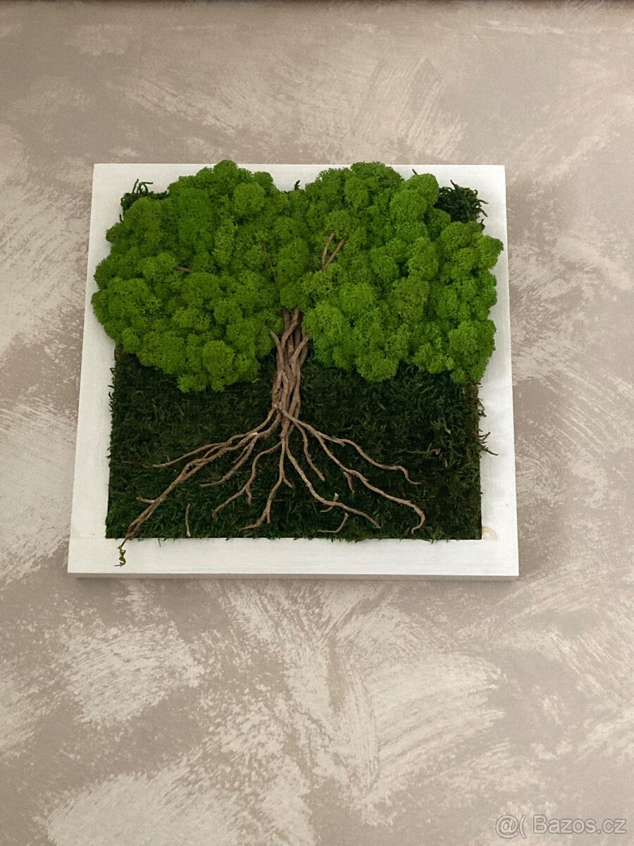 Mechový obraz woodilo design