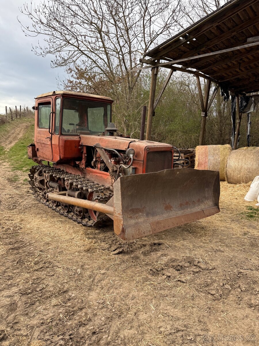 Dt 75