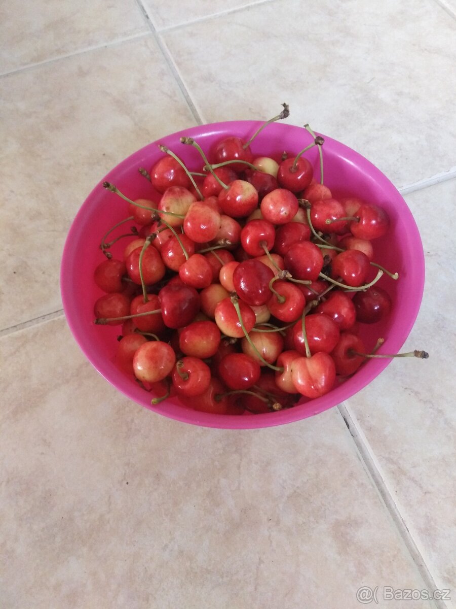 Třešně
