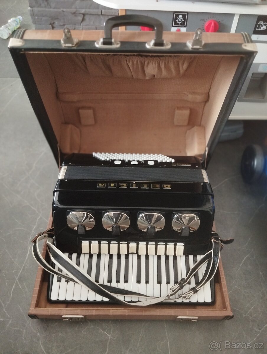Harmonika akordeon delicia